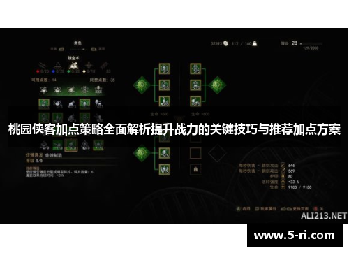 桃园侠客加点策略全面解析提升战力的关键技巧与推荐加点方案